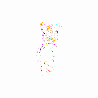 Export Image
