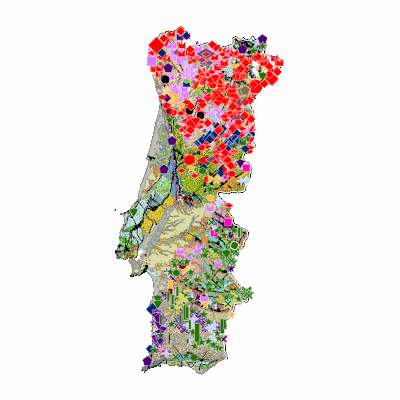 Export Image