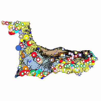 Export Image